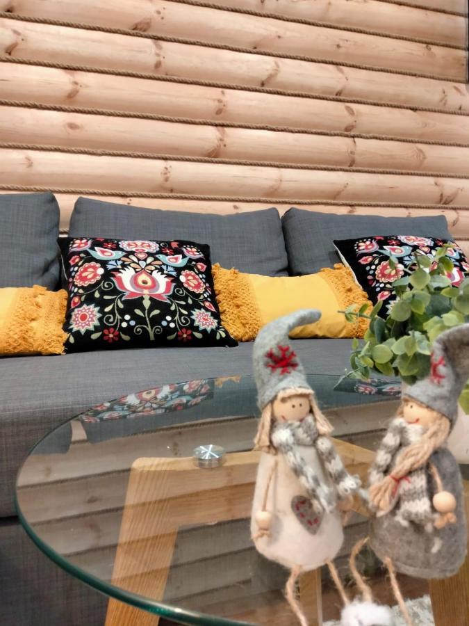Anielki Apartament ザコパネ エクステリア 写真