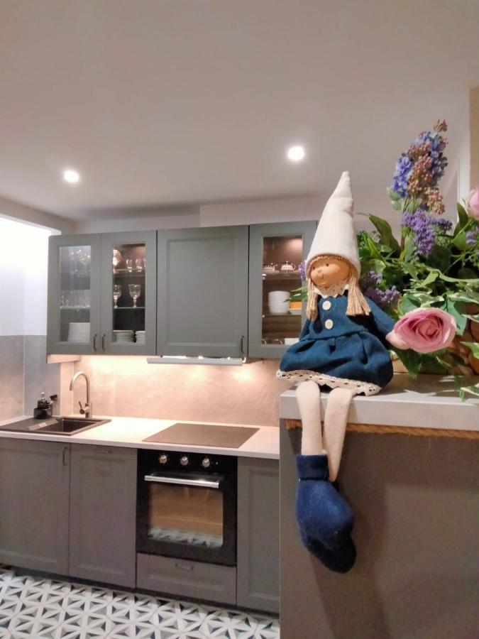 Anielki Apartament ザコパネ エクステリア 写真
